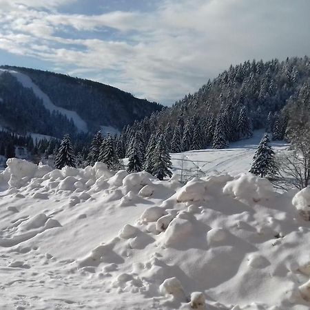 Les Feignes Cerfdore La Bresse Exterior foto