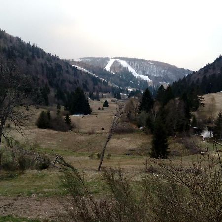 Les Feignes Cerfdore La Bresse Exterior foto