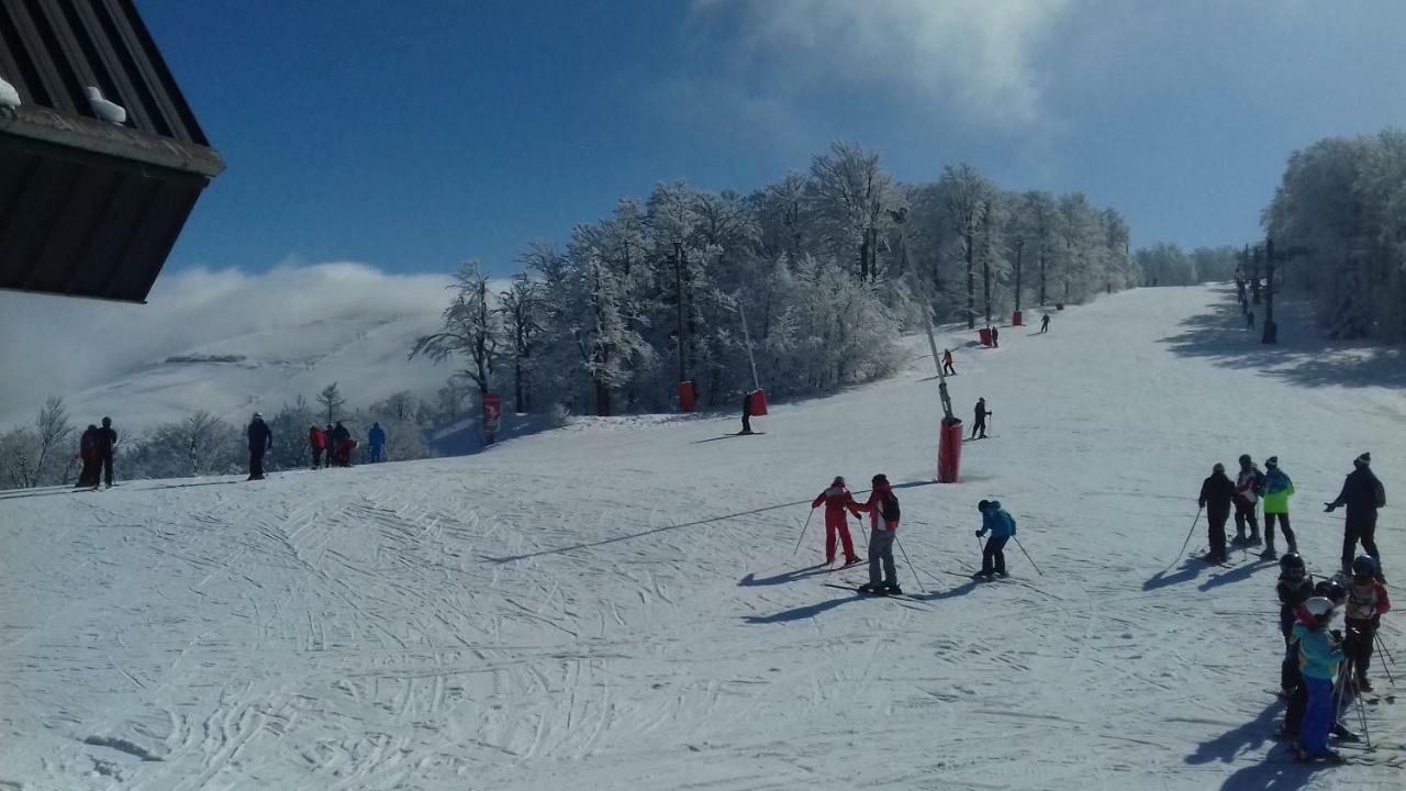 Les Feignes Cerfdore La Bresse Exterior foto