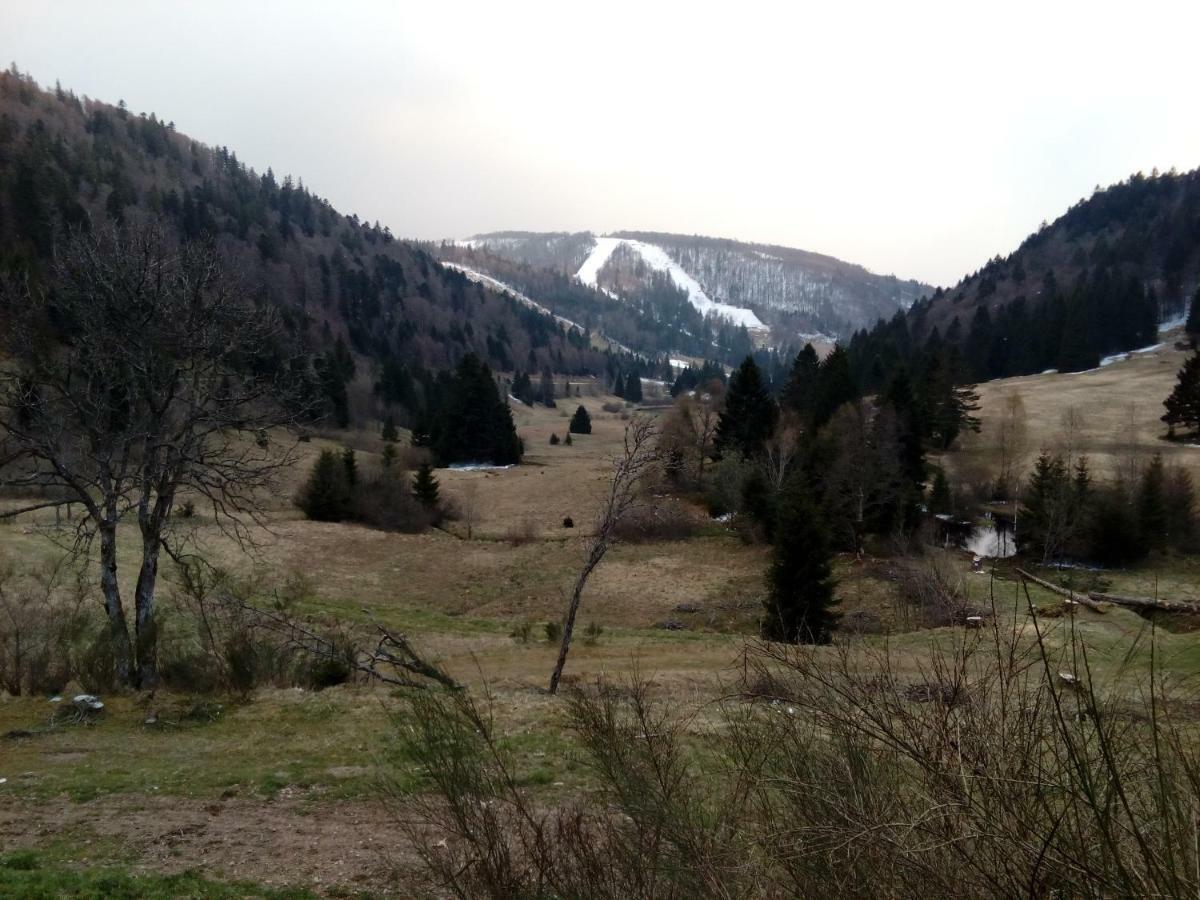 Les Feignes Cerfdore La Bresse Exterior foto
