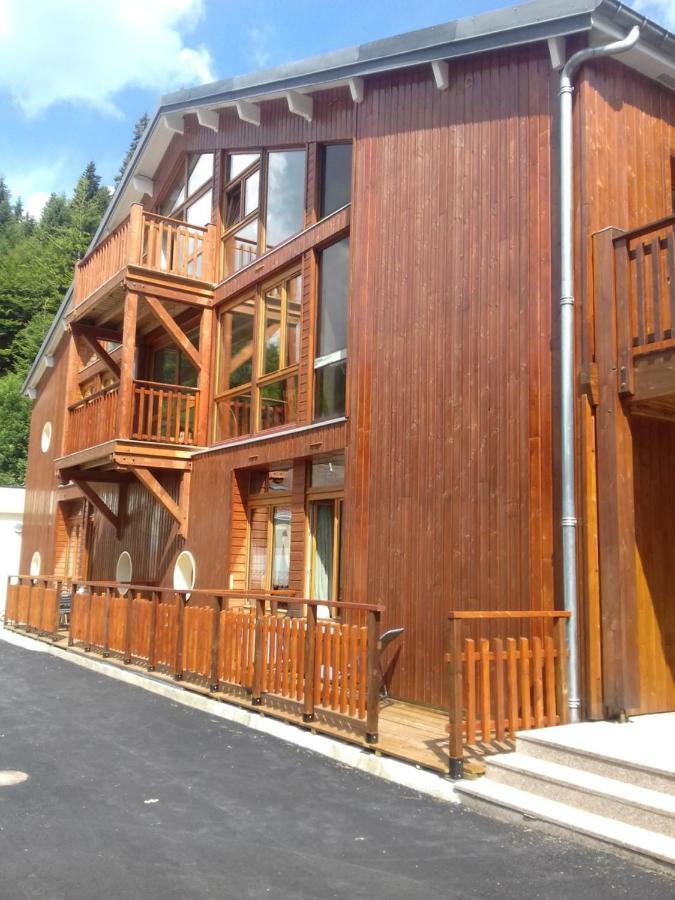 Les Feignes Cerfdore La Bresse Exterior foto